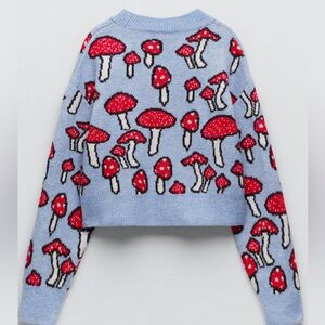 Zara Mushroom Sweater